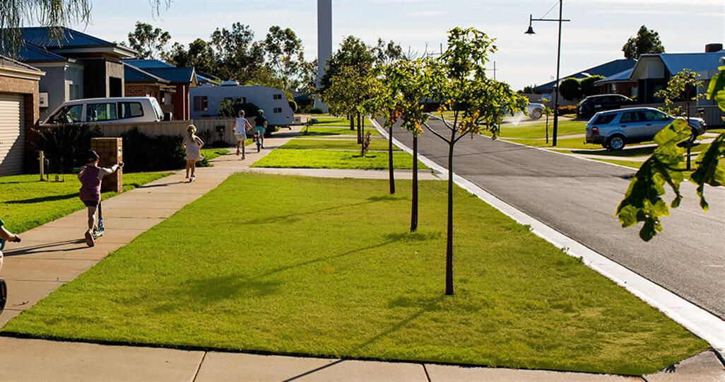 Nature Strip - This is an example of a standard size nature strip.