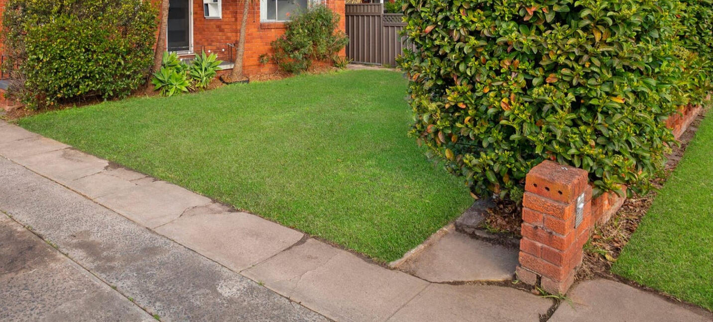 Nature Strip - This is an example of a standard size nature strip.