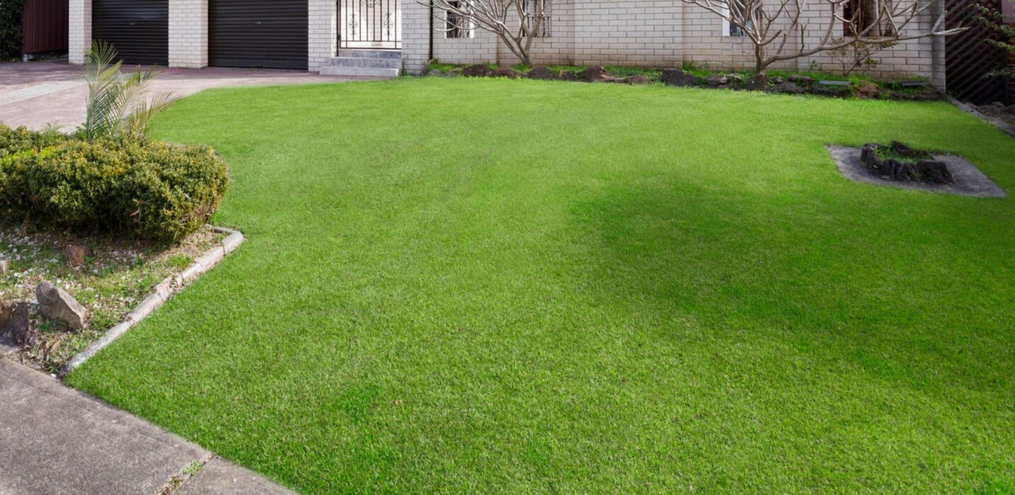 Nature Strip - This is an example of a standard size nature strip.